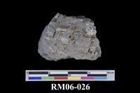 藏品(四稜砂岩)的圖片